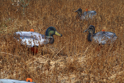 Top 5 Benefits of Using Neoprene  Decoys for Hunting