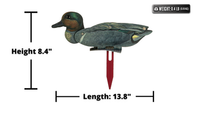 Green Wing Teal Decoy – Foldable and Collapsible Full Body Decoys (6 Decoys) - Fold Up Decoy