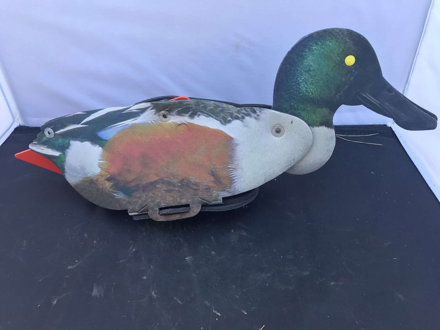 Northern Shoveler Duck Decoy – Foldable and Collapsible Full Body Decoys (6 Decoys) - Fold Up Decoy
