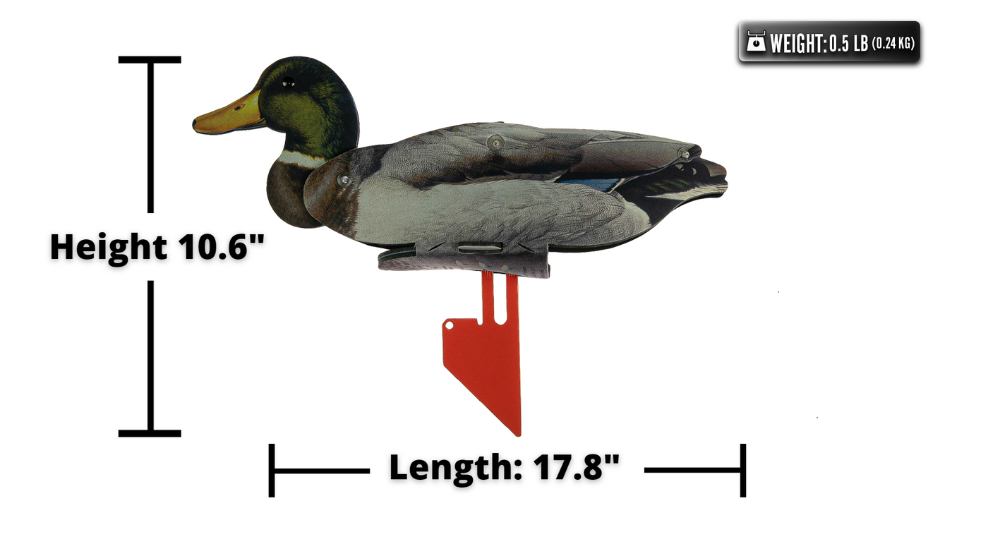 Mallard Decoy – 6 Full Size Collapsible Mallard Decoys For Land and Water Use - Fold Up Decoy