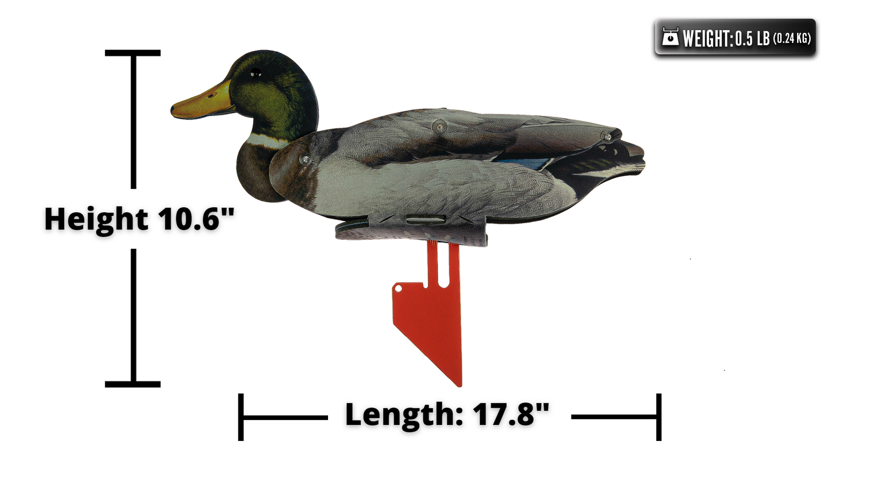 Mallard Duck Decoys – Collapsible Full Body Mallard Decoys For Hunting