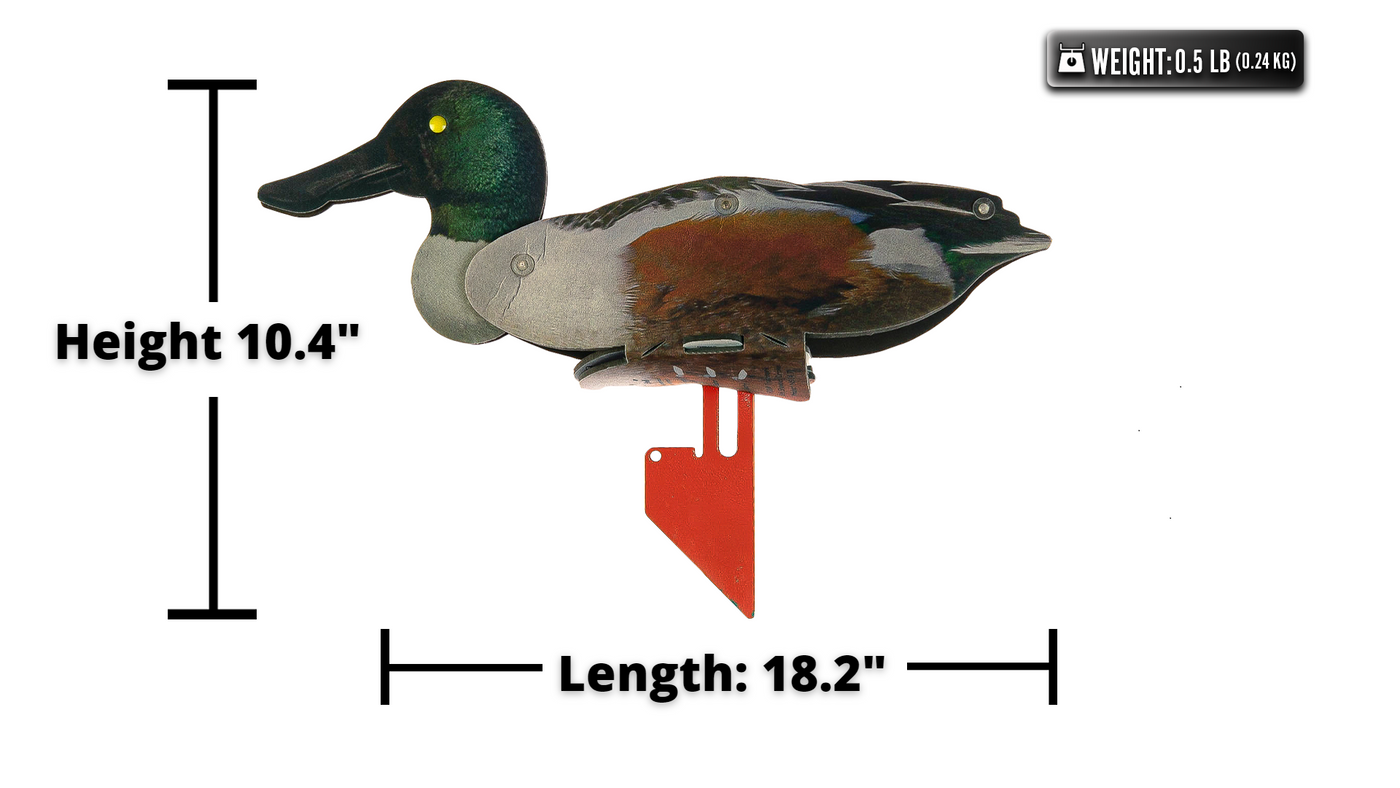Northern Shoveler Duck Decoy – Foldable and Collapsible Full Body Decoys (6 Decoys) - Fold Up Decoy