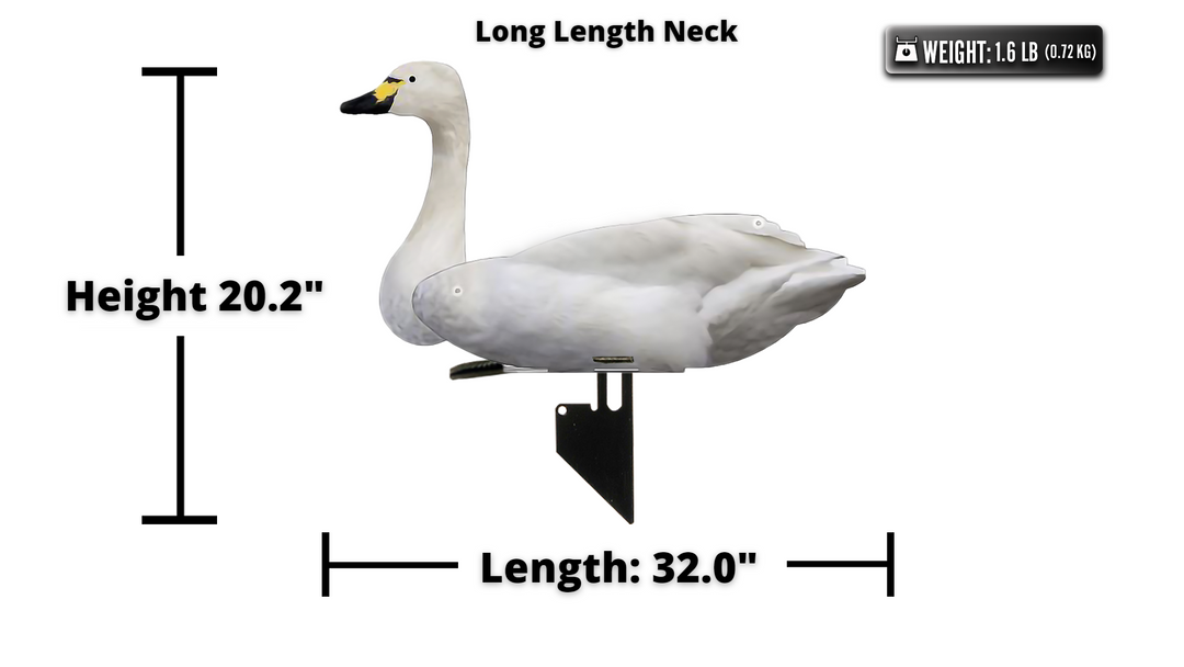 小物 WILD SWANS GROUNDER WILD SWANS GROUNDER