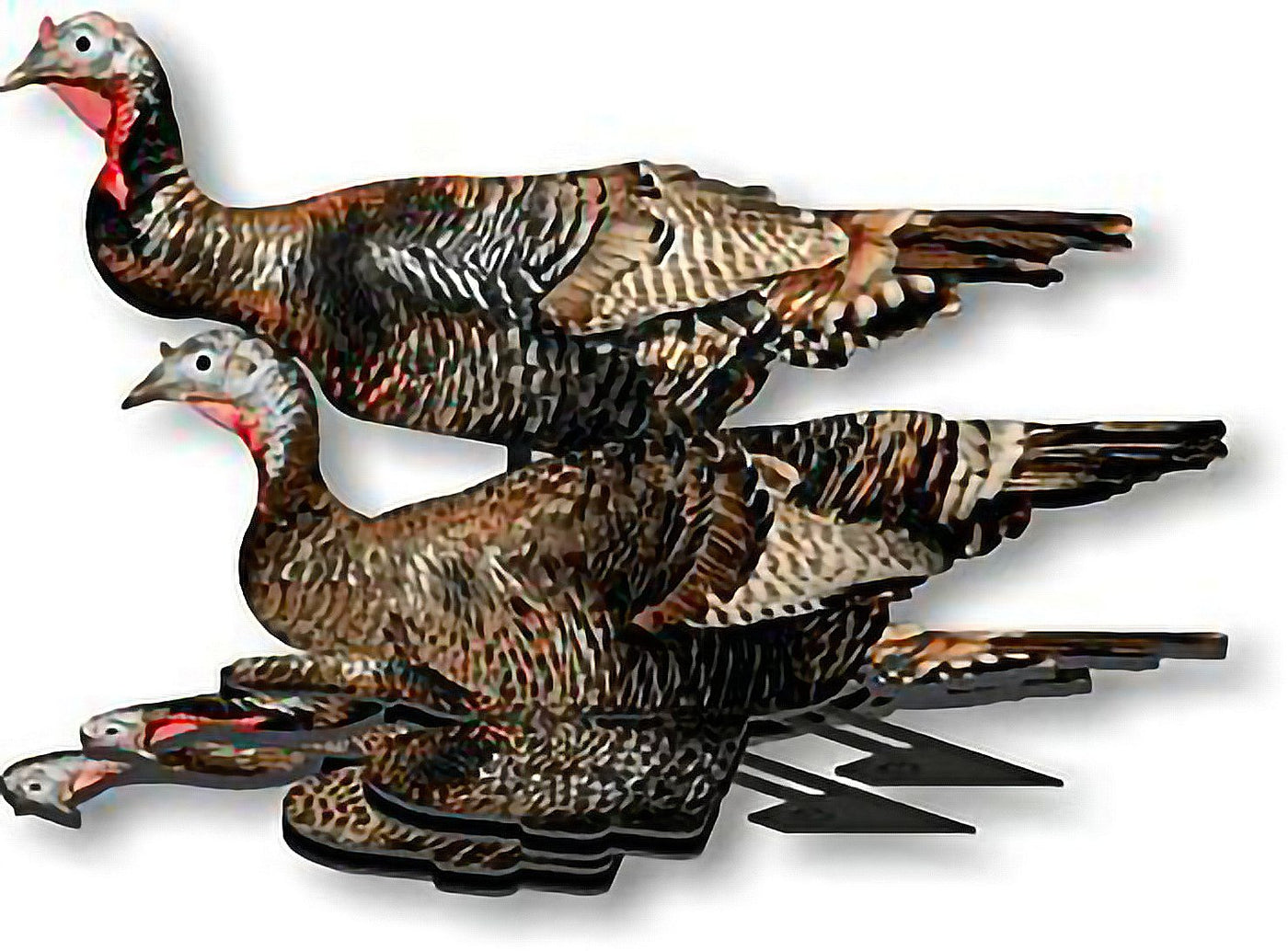 Turkey Decoy –  Foldable and Collapsible Full Body Decoys (6 Decoys) - Fold Up Decoy