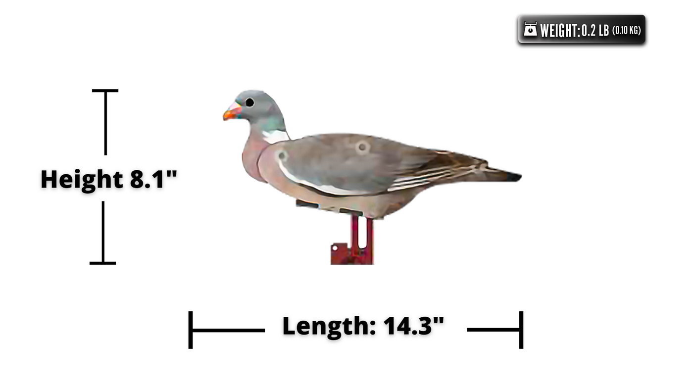 Wood Pigeon Decoy –  Foldable and Collapsible Full Body Decoys (6 Decoys) - Fold Up Decoy