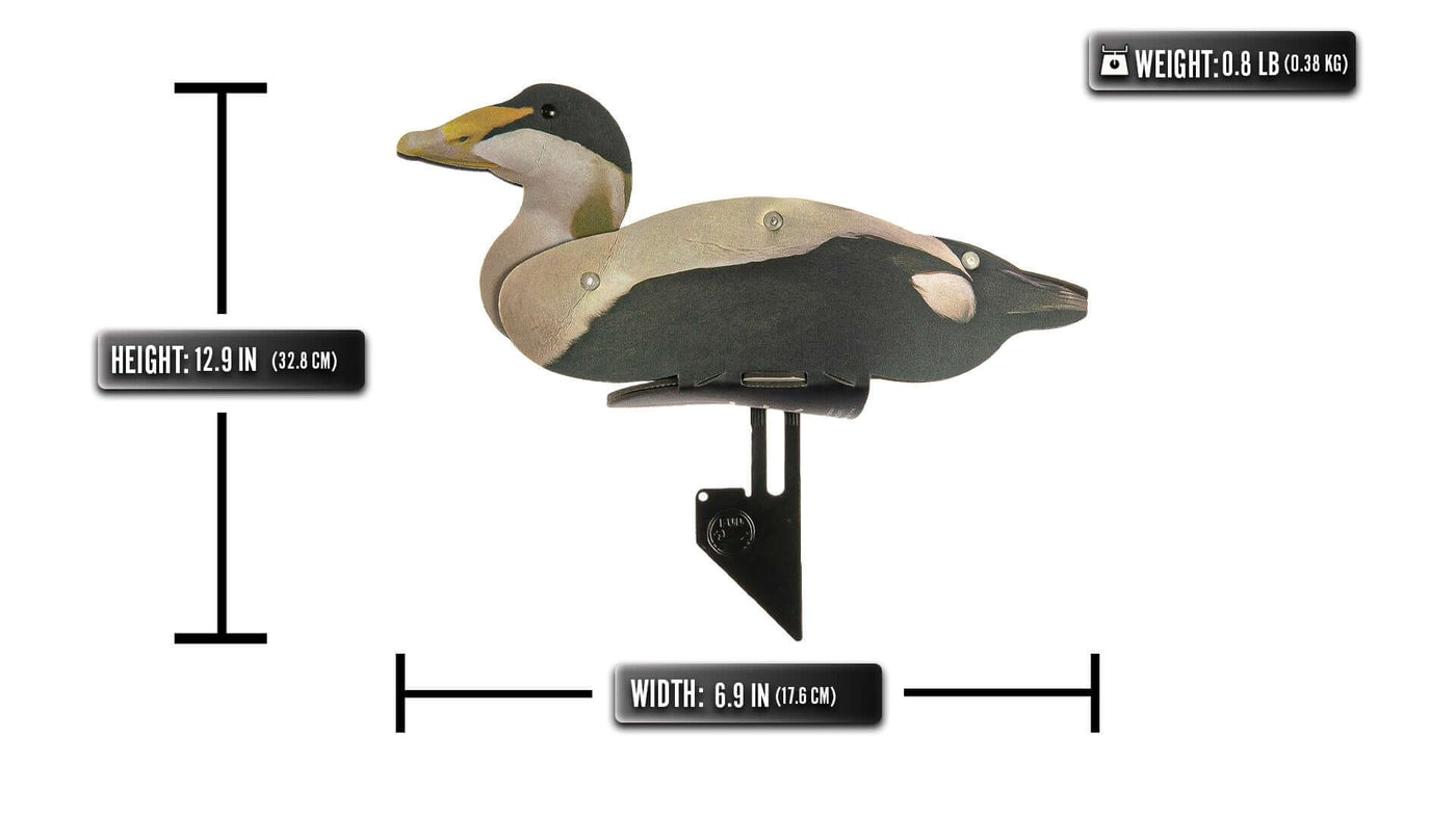 Common Eider Decoy –  Foldable and Collapsible Full Body Decoys (6 Decoys) - Fold Up Decoy