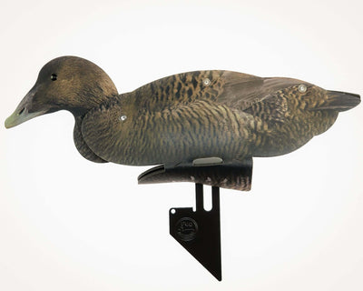Decoys - Common Eider Decoy –  Foldable And Collapsible Full Body Decoys (6 Decoys)