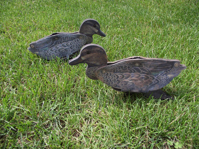 Green Wing Teal Decoy – Foldable and Collapsible Full Body Decoys (6 Decoys) - Fold Up Decoy