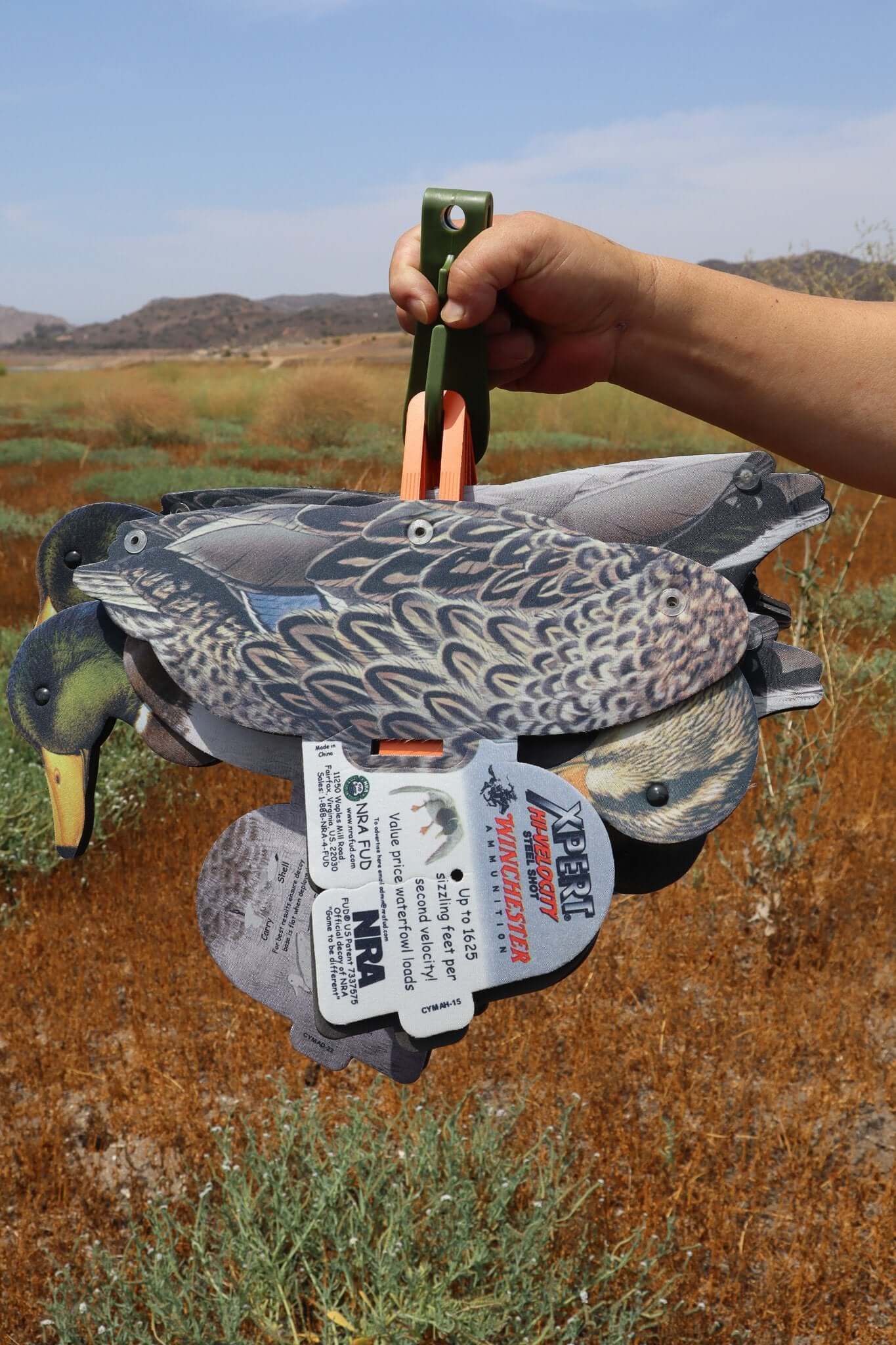 Ducks - Mallard Decoy – 6 Full Size Collapsible Mallard Decoys For Land And Water Use
