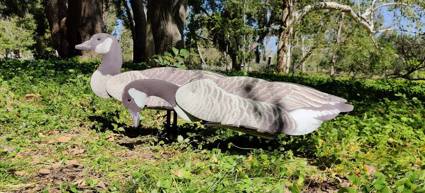 Giant Goose Decoy –  Half Dozen Foldable And Collapsible Full Body Goose Decoys