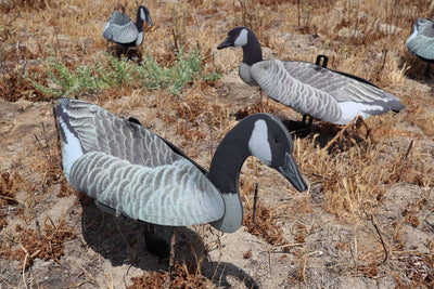 Giant Goose Decoy –  Half Dozen Foldable And Collapsible Full Body Goose Decoys
