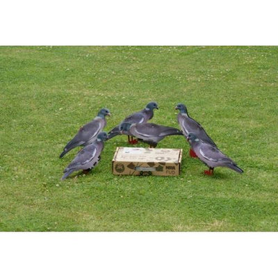 Wood Pigeon Decoy –  Foldable and Collapsible Full Body Decoys (6 Decoys) - Fold Up Decoy